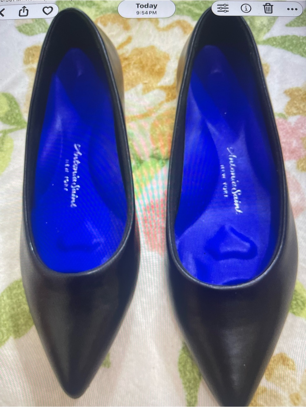 Antonia Saint Jane Autumn Flat Black Pointed Toe Flats size 6 1/2